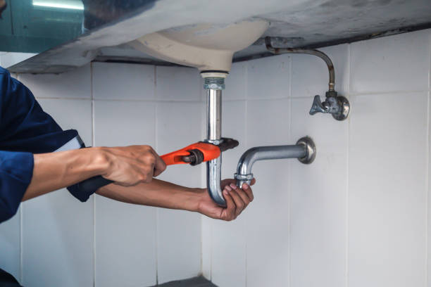 Best Clogged Drain Plumber  in Overlea, MD