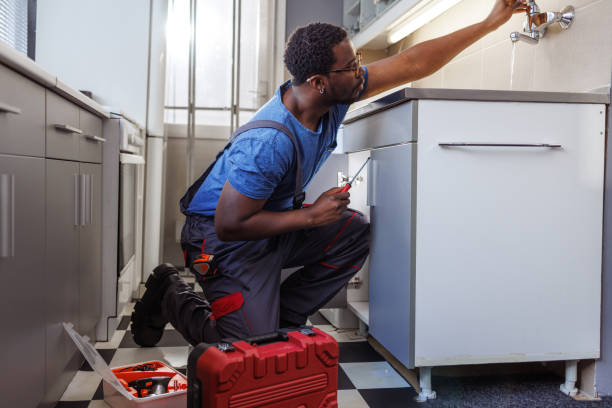 Best Plumbing Inspection Services  in Overlea, MD
